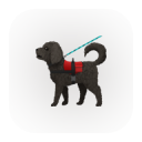 Дополнительные прогулки